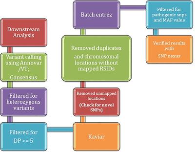 A Pilot Study on the Whole Exome Sequencing of Prostate Cancer in the Indian Phenotype Reveals Distinct Polymorphisms